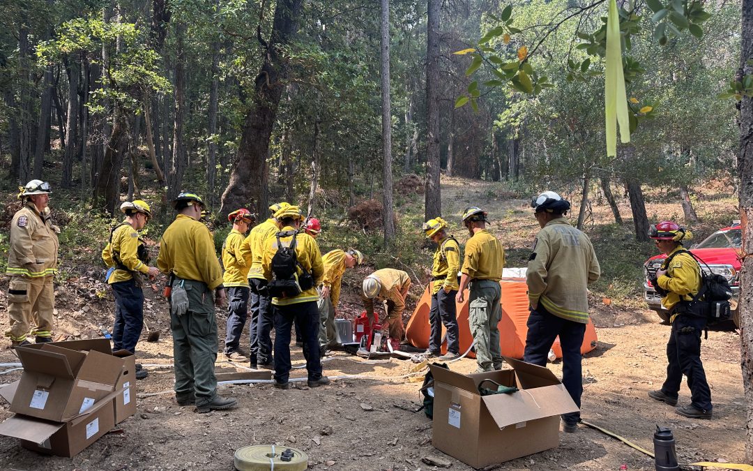 From Prevention to Protection: Unveiling the World of Firefighters and Wildfire Professionals