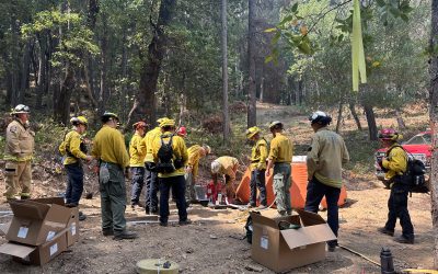 From Prevention to Protection: Unveiling the World of Firefighters and Wildfire Professionals