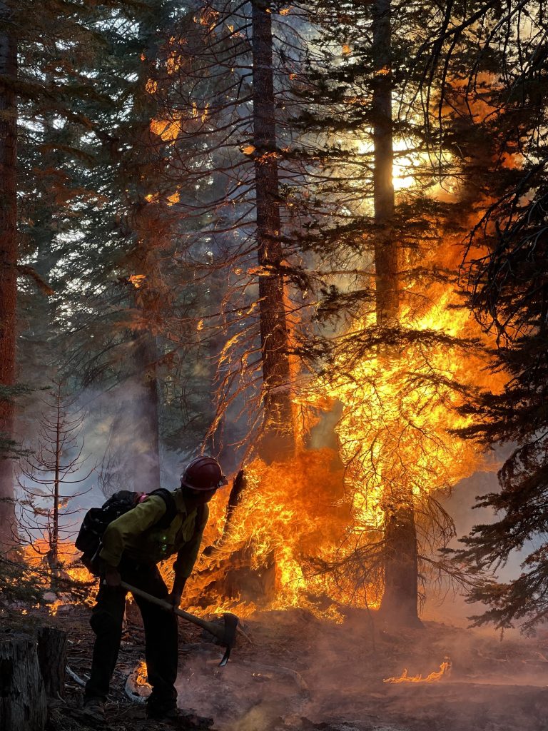Wildland FireFighter Fighting Wildfires Wildfire Man with Pick Head Axe