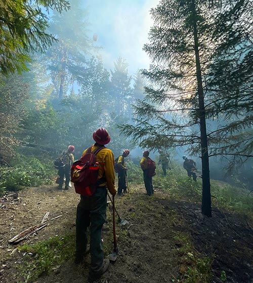 Advanced Wildfire Management Solutions, Forest Fire, Fire Fighters Creating Defensive Line ESB Idaho LLC